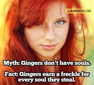 funny-gingers-fact-soul1